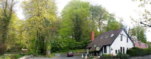 Moat Lodge B&B  Lucan | Lucan, Ireland Bed & Breakfasts | Dingle Peninsula, Ireland