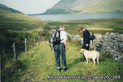 Walking your dog on one of the old roads | Kylemore Pass Hotel | Image #4/25 | 