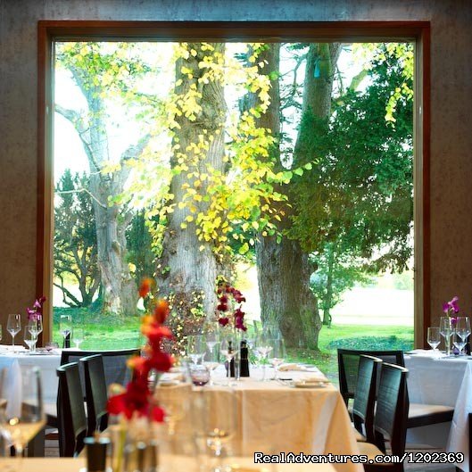 The Linden Tree Restaurant | Carton House | Image #4/5 | 