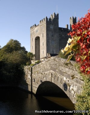 Bunratty Castle & Folk Park