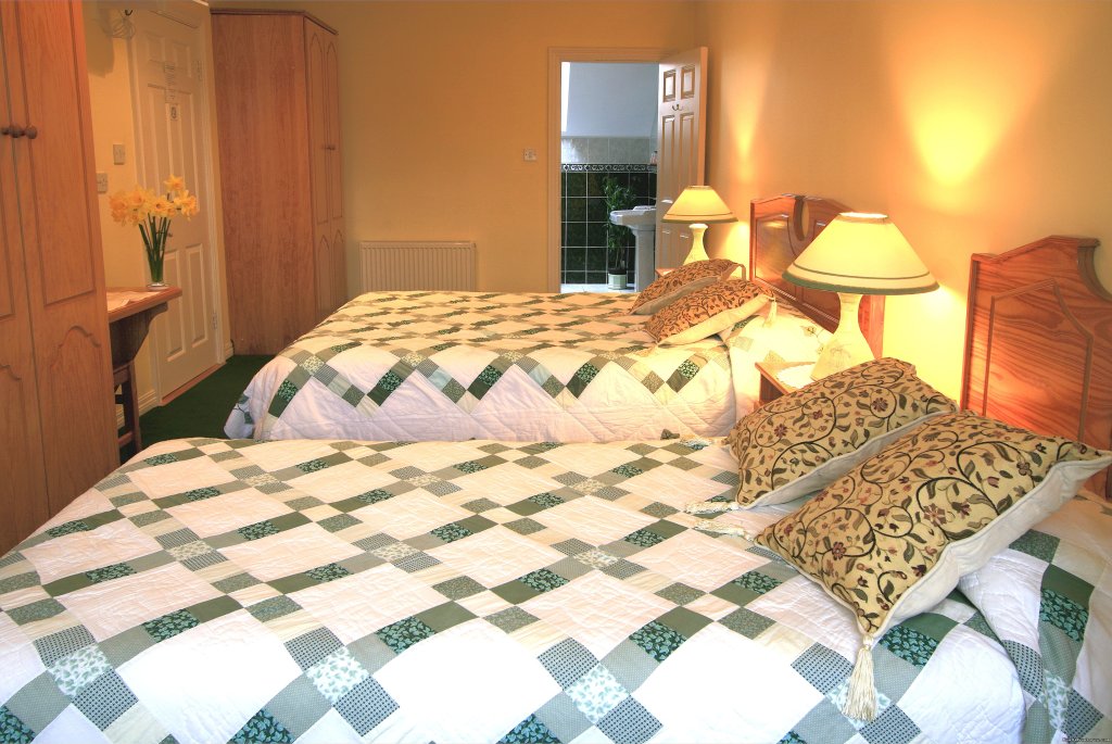 Willow Room | Idyllic Ring Of Kerry  B&B at Willow Lodge | Image #7/8 | 
