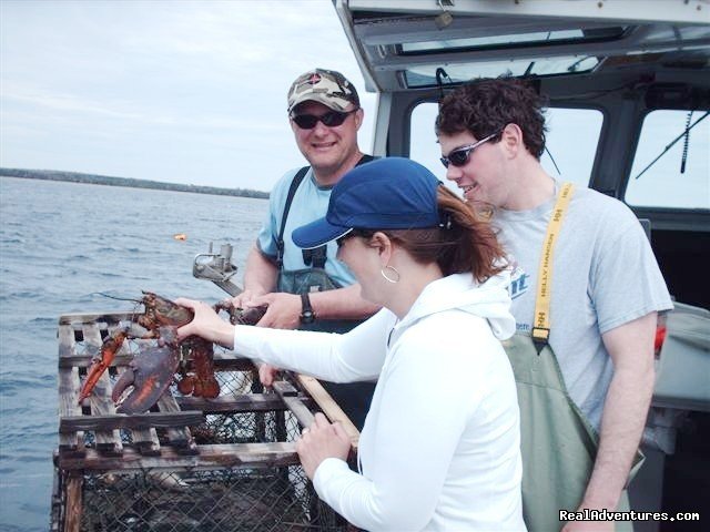 Lobster Lover | Experience PEI-unique hands-on learning adventures | Image #4/8 | 