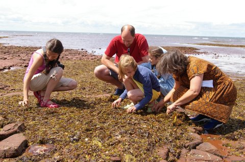 Seaweed Secrets | Image #5/8 | Experience PEI-unique hands-on learning adventures