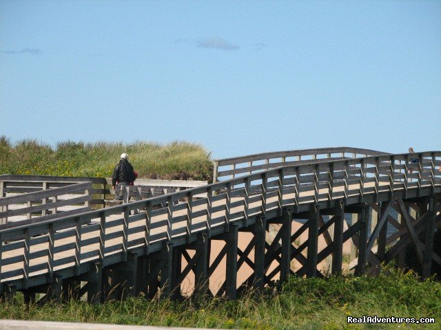 Boardwalk leading to beach area | Swept Away Cottages | Image #3/8 | 