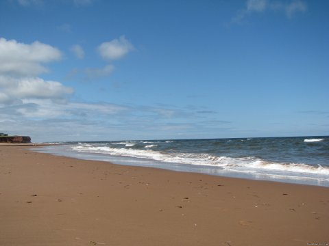 Cousin's Shore beach looking west.