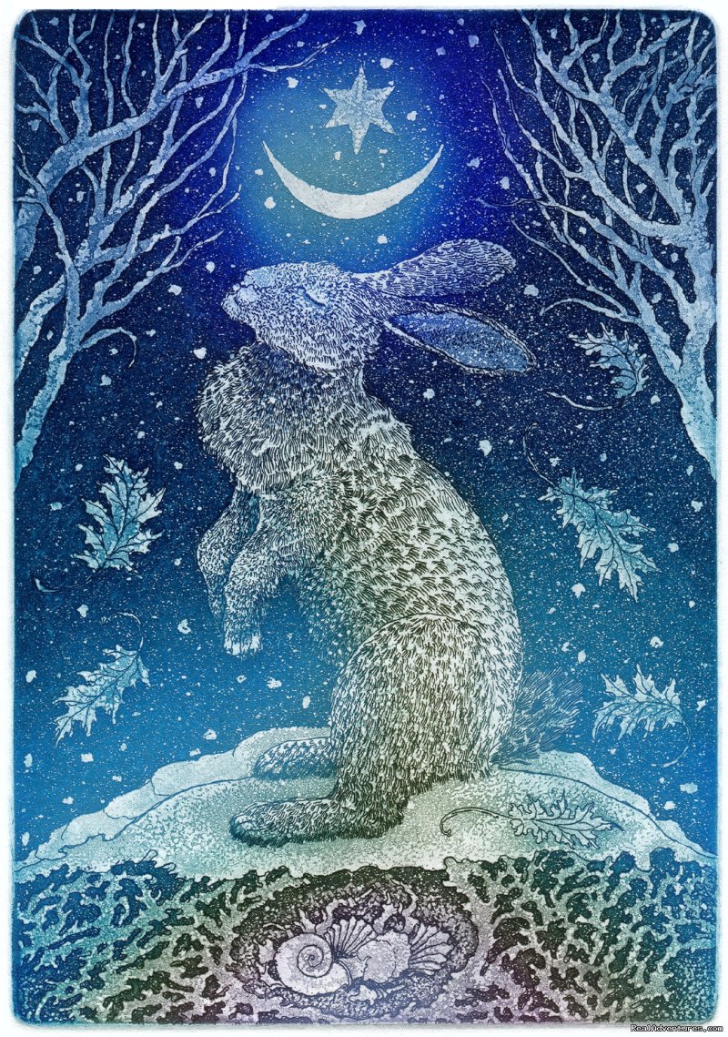 Solstice Rabbit | The Studio Gallery | Image #5/5 | 