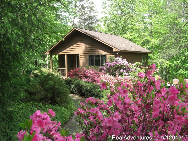 Creek House cabin | Cabins at Chesley Creek Farm | Dyke, Virginia  | Vacation Rentals | Image #1/5 | 