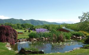 Enjoy the Great Outdoors at Fox Hill B&B Suites | Fairfield, Virginia Bed & Breakfasts | Central, Virginia