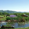 Enjoy the Great Outdoors at Fox Hill B&B/Cottages The Blue Ridge Mountains viewed from our front yard