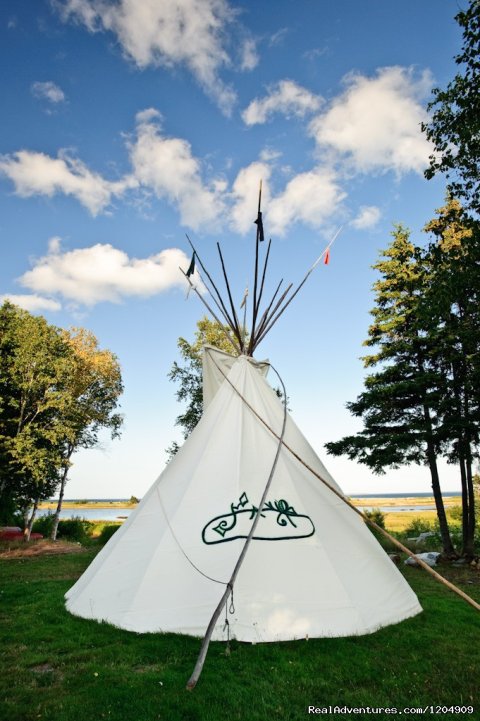 Tipi