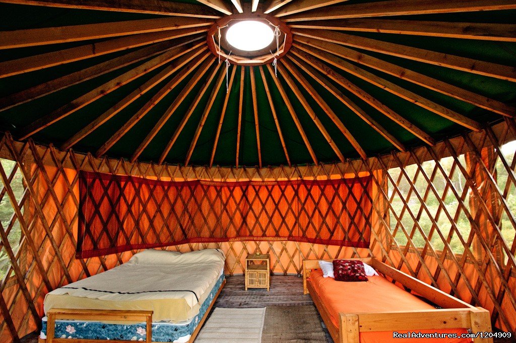 Inside the Yurt | Cabot Shores Wilderness Resort | Image #7/20 | 