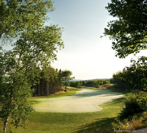 The Lakes Golf Club at Ben Eoin | Image #16/20 | 