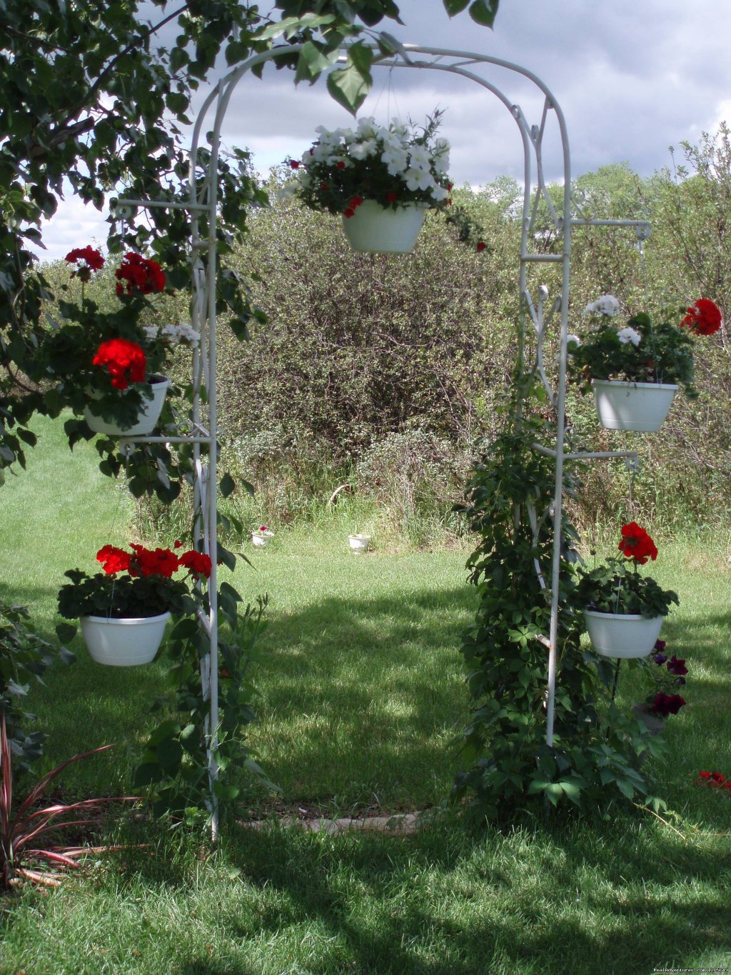Wedding Arch | Intimate weddings hosted at Lorna's B&B | Image #2/6 | 