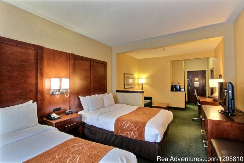 Standard Double Suite