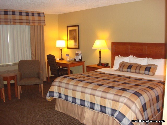 King Bed Room | Best Western Derby Inn | Image #9/21 | 