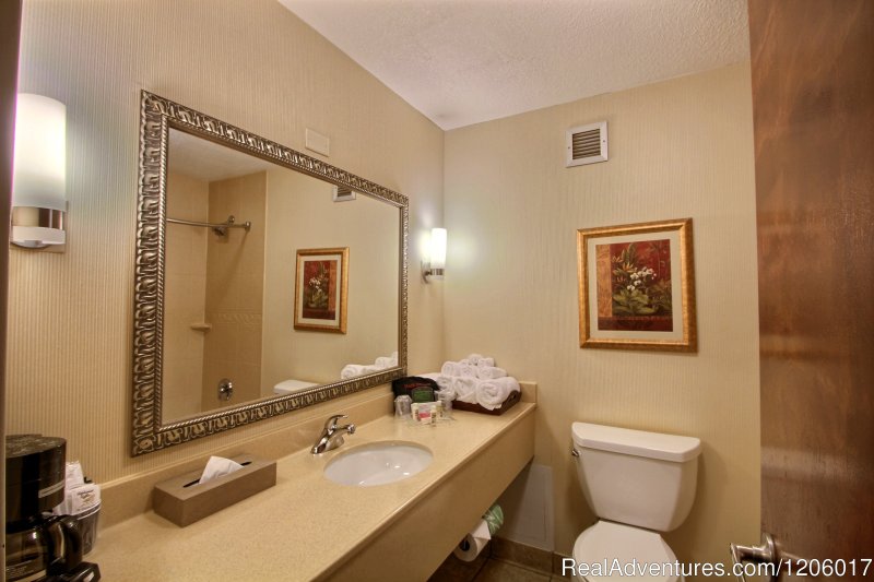 Guest Room Bathroom | Holiday Inn | Image #4/10 | 