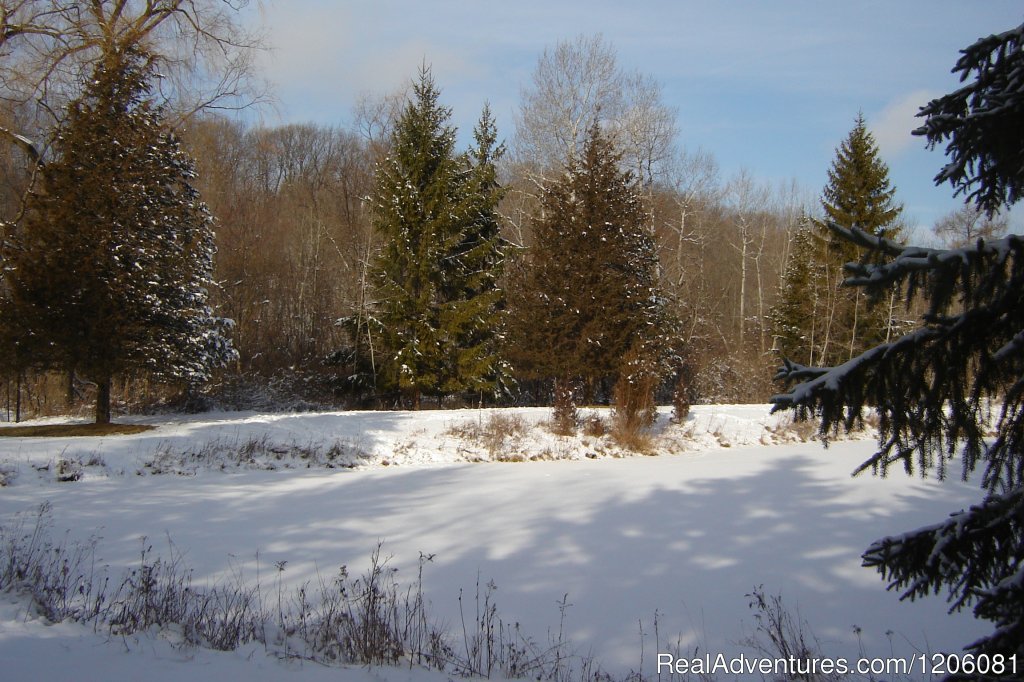 Winter Wonderland | A Gracious B&B In The Heart Of The Kettle Moraine | Image #3/7 | 