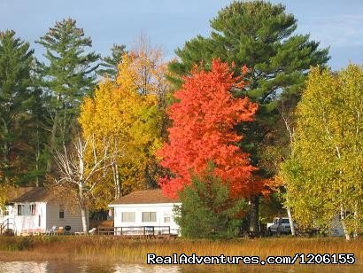 Maple view from the lake | Sunrise Lodge | Image #2/4 | 