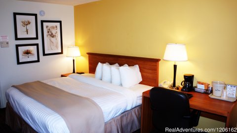 King Bed Guest Room