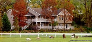 Country Estate for a Relaxing Getaway | Madison, WI, Wisconsin Bed & Breakfasts | Le Claire, Iowa