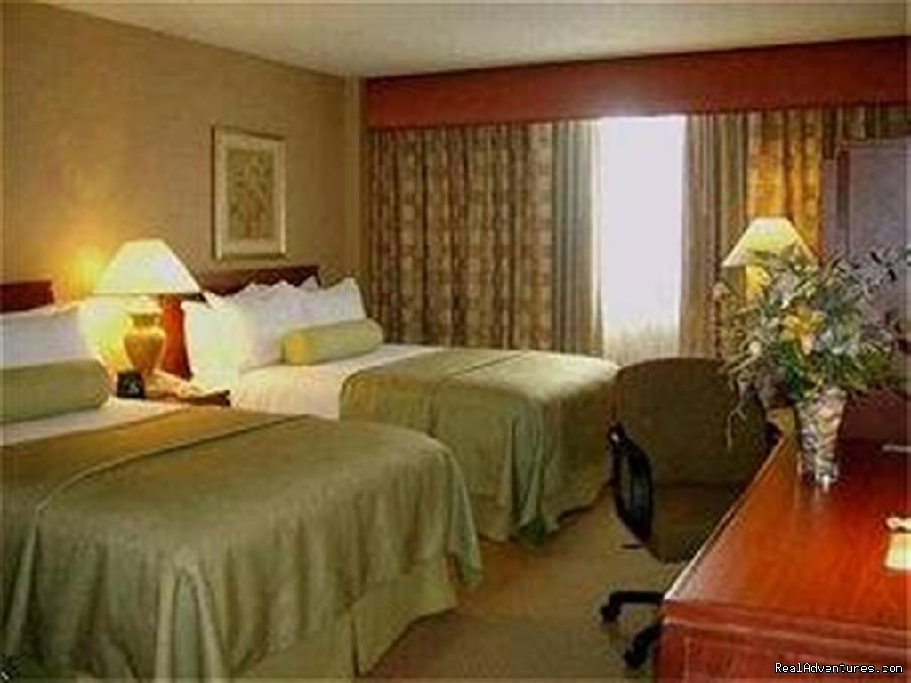 Guestroom  --  Double-Bedded | Hilton Milwaukee River | Image #2/22 | 