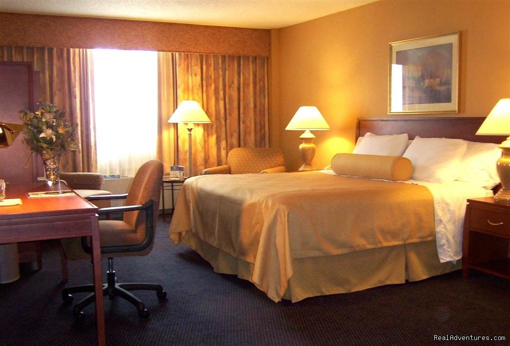 Guestroom  --  King-Bedded | Hilton Milwaukee River | Milwaukee, Wisconsin  | Hotels & Resorts | Image #1/22 | 