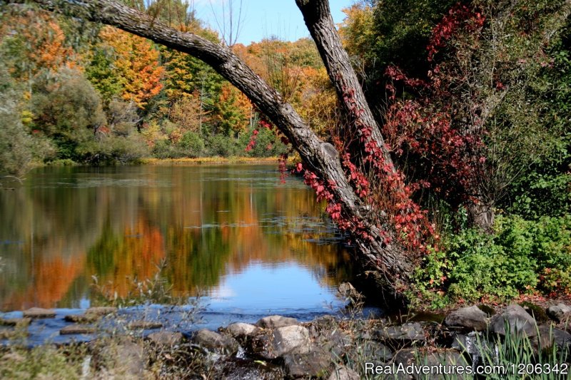 Fall at the Dam | Presque Isle Chamber of Commerce | Presque Isle, Wisconsin  | Tourism Center | Image #1/5 | 