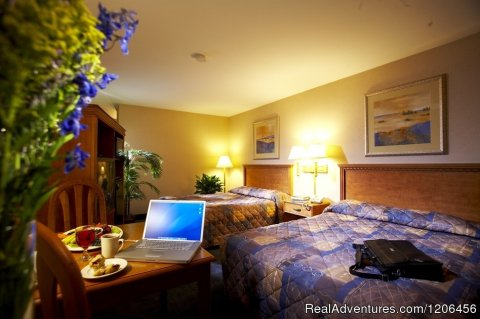 Guest Room | Image #8/11 | Country Springs Hotel
