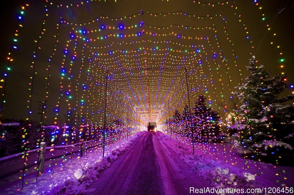 Country Christmas Light Tunnel | Country Springs Hotel | Image #10/11 | 