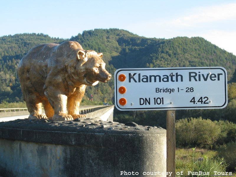 Klamath Bridge Golden Bears | Redwoods at Kamp Klamath RV Park and Campground | Image #3/16 | 