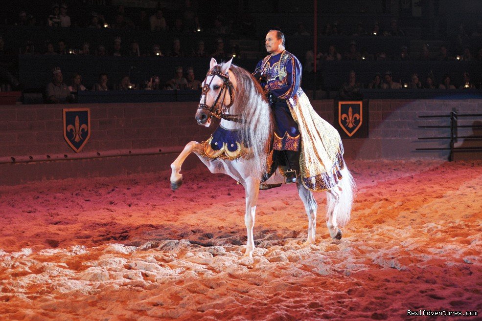 Medieval Times Dinner & Tournament | Image #6/7 | 