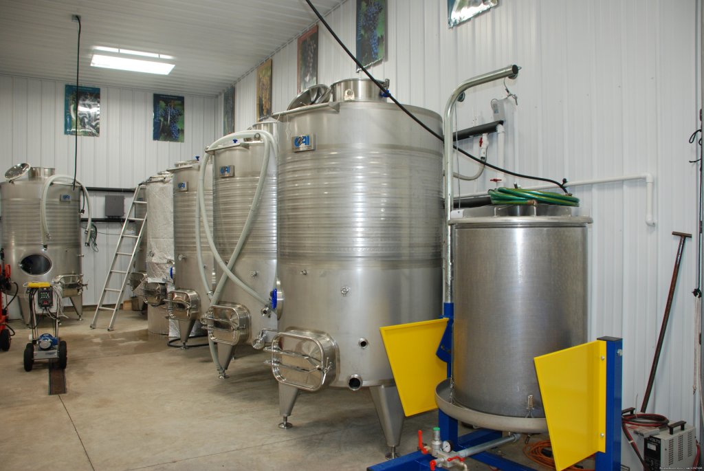 Production area | Parallel 44 Vineyard & Winery | Image #11/14 | 