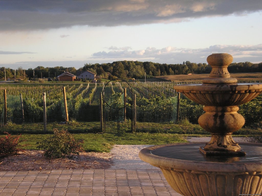 Our Patio | Parallel 44 Vineyard & Winery | Image #13/14 | 