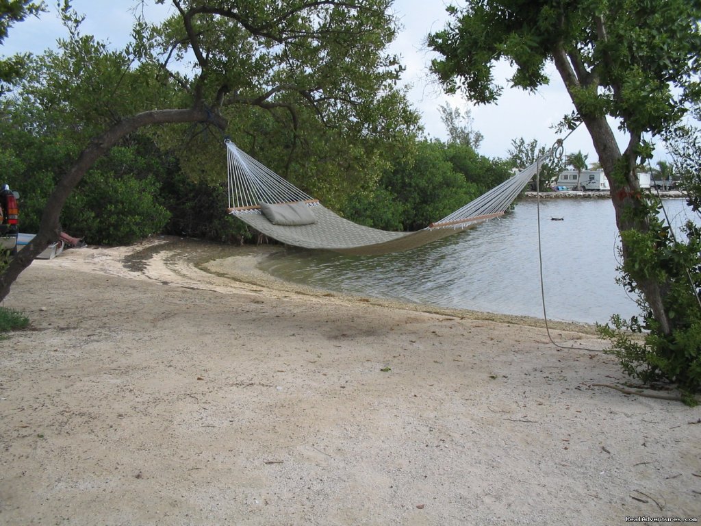 Conch Cove | Boyd's Key West Campground | Orlando, Florida  | Campgrounds & RV Parks | Image #1/14 | 