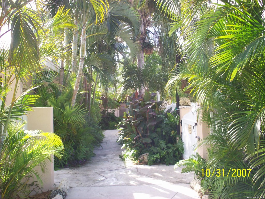Pathway to the Pool | Boyd's Key West Campground | Image #3/14 | 