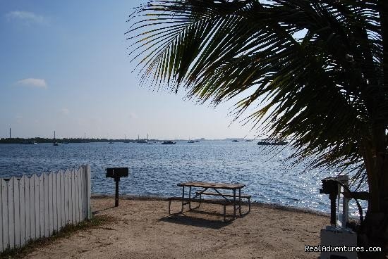 Primitive Camping | Boyd's Key West Campground | Image #6/14 | 
