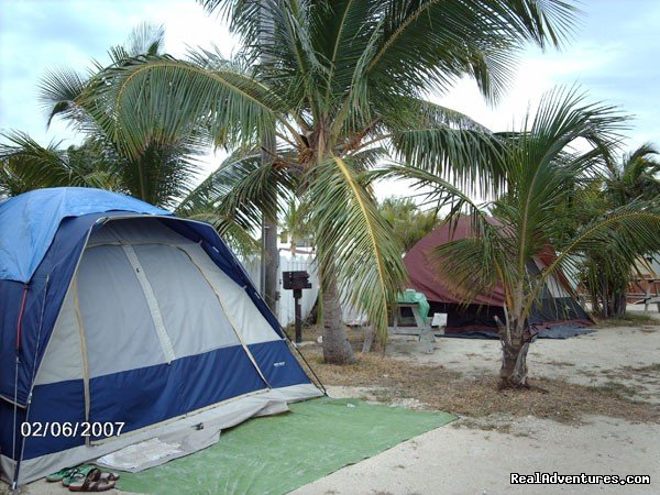 Inland tent camping | Boyd's Key West Campground | Image #8/14 | 
