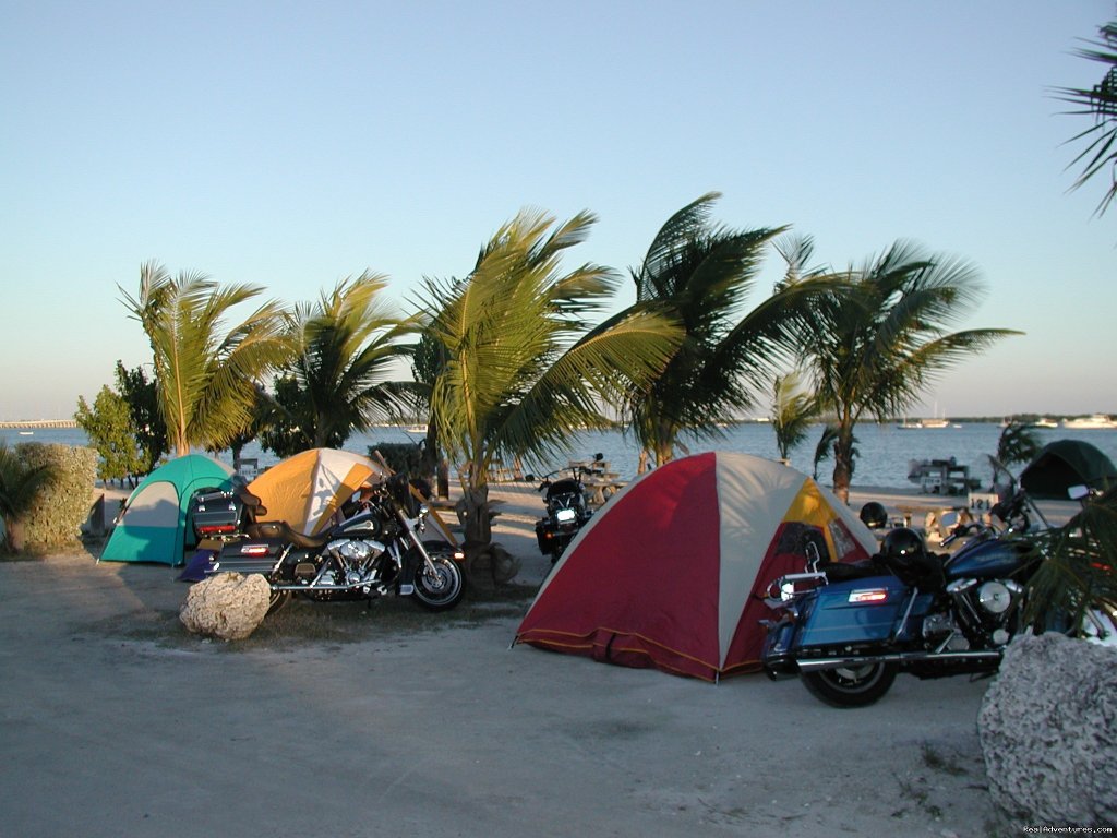 Bikers camp too:) | Boyd's Key West Campground | Image #9/14 | 