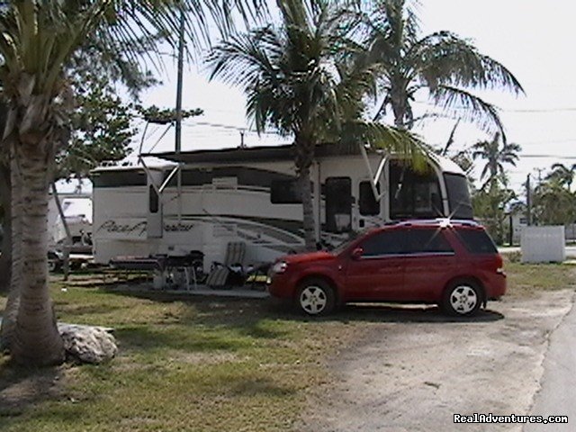 Inland RV Camping | Boyd's Key West Campground | Image #11/14 | 