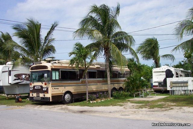 Inland RV sites | Boyd's Key West Campground | Image #13/14 | 