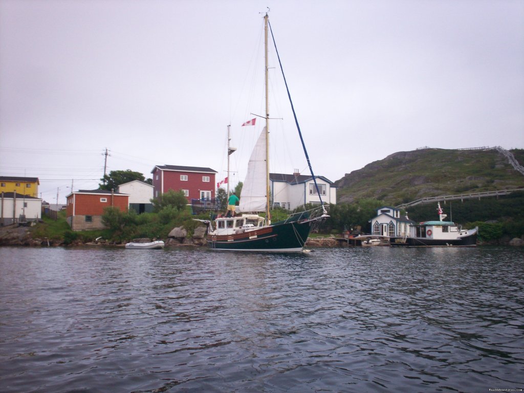 Time to batten the hatches | Burgeo Haven Inn on the Sea Bed & Breakfast | Image #12/16 | 
