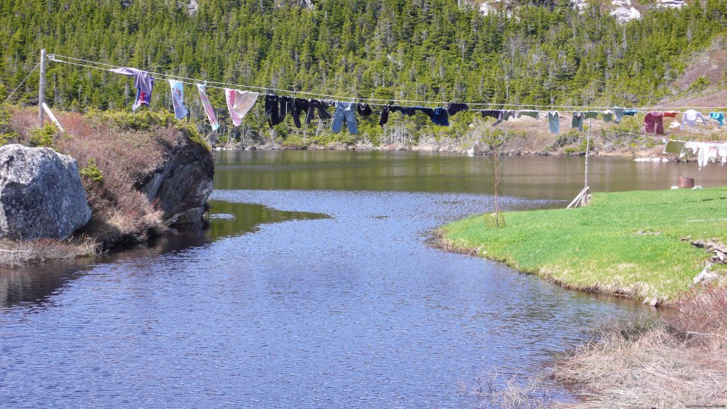 Clothes drying over the cove | Burgeo Haven Inn on the Sea Bed & Breakfast | Image #16/16 | 