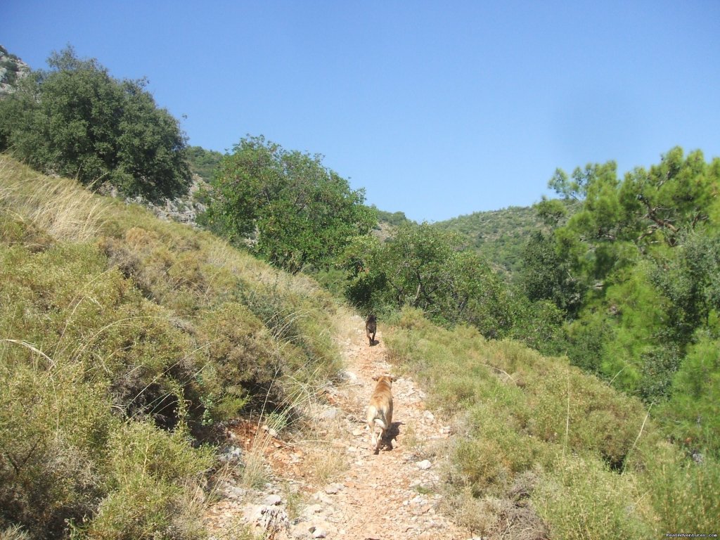 Turunc Pinari way | Hiking in Kayakoy, Turkey: the Spirit of Lycia | Image #6/24 | 