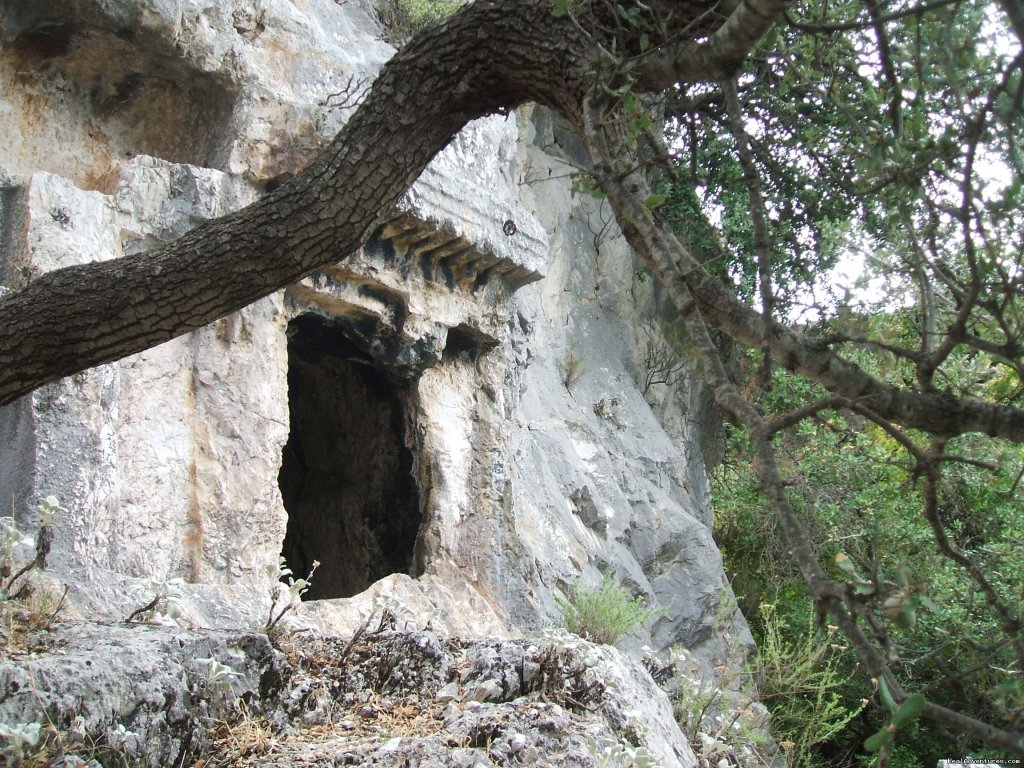 Lycian tomb in the forest | Hiking in Kayakoy, Turkey: the Spirit of Lycia | Image #24/24 | 