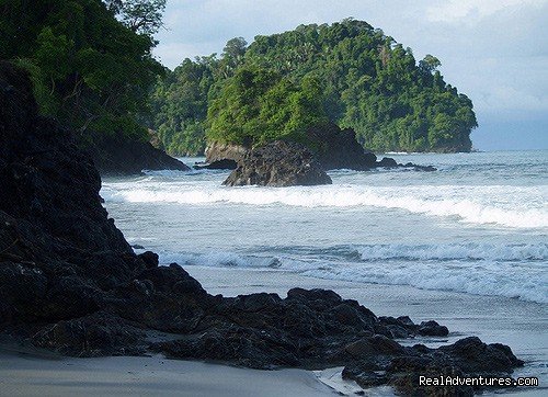 Beach at Manuel Antonio National Park | Costa Rica Flexi Vacations | Image #3/4 | 
