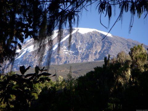 Kilimanjaro image | Image #2/2 | Kilimanjaro climbing, Kenya climbing, safari in Ta