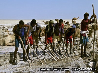 The Salt Workers | Ethiopia Adventures tour to Dallol and Ert-Ale | Image #4/26 | 