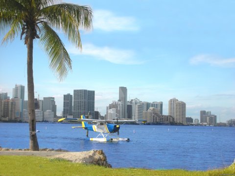 Image #3/8 | Miami Seaplane Tours