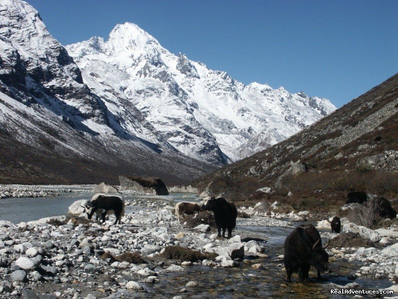 Langtang Trekking | Langtang Trek | Kathmandu, Nepal | Hiking & Trekking | Image #1/2 | 