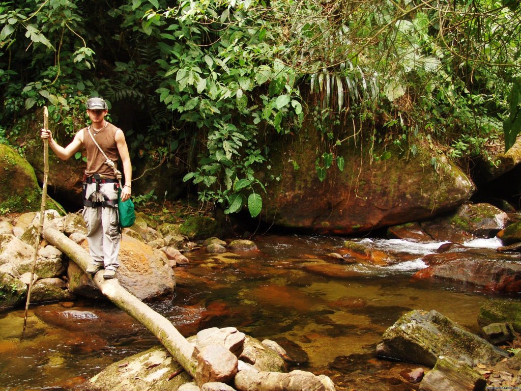Improvise bridges  | Top 10 things to do at Cusuco National Park  | Image #4/8 | 